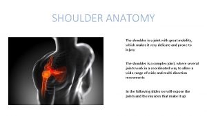 SHOULDER ANATOMY The shoulder is a joint with