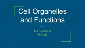 Cell Organelles and Functions Ms Reinhard Biology Organelles