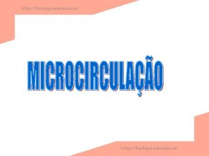 http fisiologia webnode com a circulao que ocorre