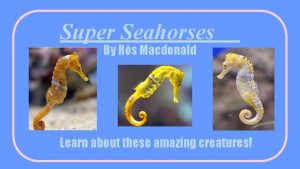 Super Seahorses By Rs Macdonald Learn about these