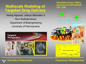 Multiscale Modeling of Targeted Drug Delivery Nanobiotechnology fulfilling