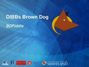 DIBBs Brown Dog BDFiddle BDFiddle Data Transformation As