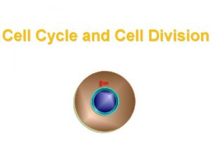Cell Cycle and Cell Division I Cell Division