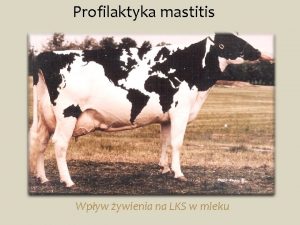 Profilaktyka mastitis Wpyw ywienia na LKS w mleku