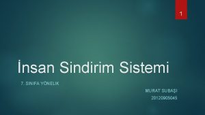 1 nsan Sindirim Sistemi 7 SINIFA YNELIK MURAT