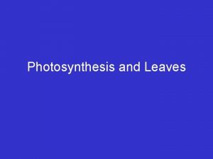 Photosynthesis and Leaves Photosynthesis process used by plants