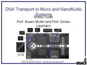 DNA Transport in Micro and Nanofluidic Systems Shelly