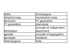 allele dihybrid cross dominant F 1 generation fertilization