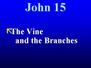 John 15 The Vine and the Branches John