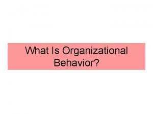 What Is Organizational Behavior What Managers Do Managers