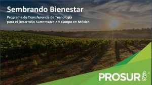 Sembrando Bienestar Programa de Transferencia de Tecnologa para