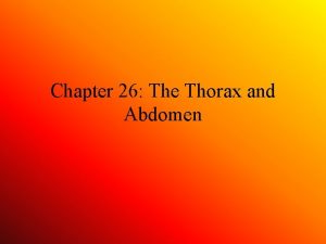 Chapter 26 The Thorax and Abdomen Assessment of