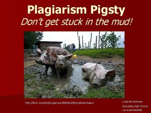 Plagiarism Pigsty Dont get stuck in the mud