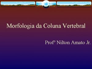 Morfologia da Coluna Vertebral Prof Nilton Amato Jr