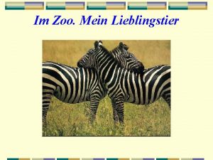 Im Zoo Mein Lieblingstier Welche Tiere leben im