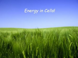 Energy in Cells Page 1 Energy Energy is