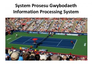 System Prosesu Gwybodaeth Information Processing System System Prosesu