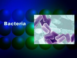 Bacteria What is Bacteria Prokaryotes no nucleus Eubacteria