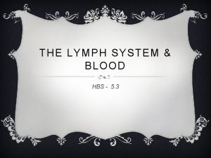 THE LYMPH SYSTEM BLOOD HBS 5 3 WHAT