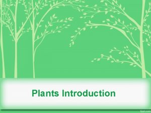 Plants Introduction Bellringer Agenda Bellringer Propagation Lab plant