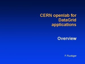 CERN openlab for Data Grid applications Overview F