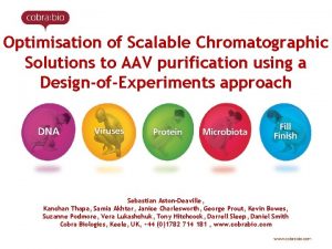 Optimisation of Scalable Chromatographic Solutions to AAV purification