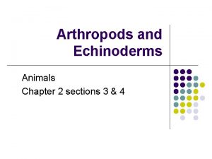 Arthropods and Echinoderms Animals Chapter 2 sections 3