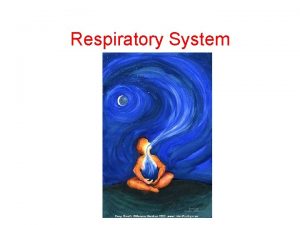 Respiratory System Respiration Gas Exchange Breathing Why Do