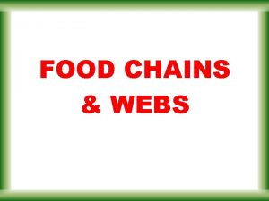 FOOD CHAINS WEBS Energy Flow in Ecosystems 1