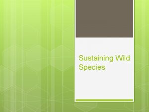 Sustaining Wild Species Why Preserve Wild Species species