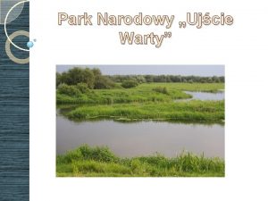 Park Narodowy Ujcie Warty Park Narodowy Ujcie Warty