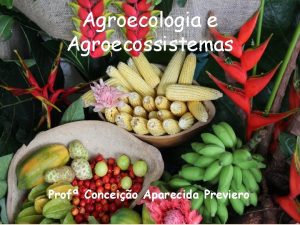 Agroecologia e Agroecossistemas Prof Conceio Aparecida Previero Quais