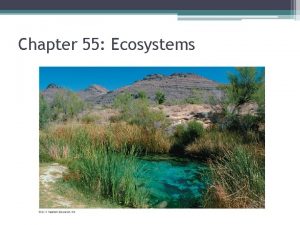 Chapter 55 Ecosystems You Must Know How energy