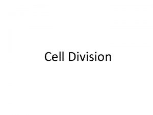 Cell Division MITOSIS The process of cell division