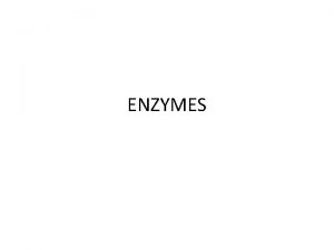 ENZYMES ENZYMES Made of proteins Contain Enzymes are