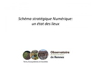 Schma stratgique Numrique un tat des lieux Contexte