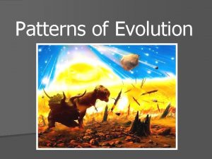 Patterns of Evolution Macroevolution largescale evolutionary patterns and