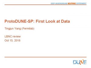 Proto DUNESP First Look at Data Tingjun Yang