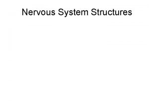 Nervous System Structures Nervous Systems Spinal Chord Connects