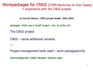 Workpackages for CNGS CERN Neutrinos to Gran Sasso