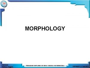 MORPHOLOGY Definition of Morphology Literally the study of