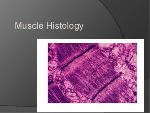 Muscle Histology Functions of muscle tissue Movement Joint