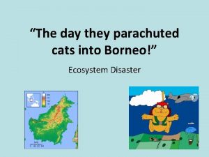 The day they parachuted cats into Borneo Ecosystem