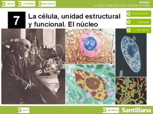 INICIO ESQUEMA RECURSOS Biologa La clula unidad estructural