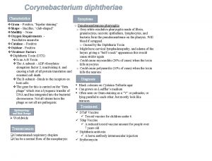 Corynebacterium diphtheriae Characteristics Symptoms v Gram Positive bipolar