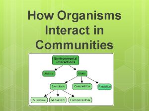 How Organisms Interact in Communities Predation Interactions Between