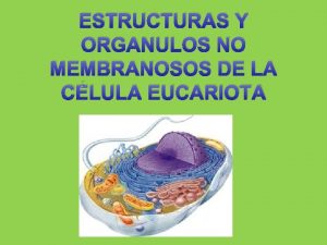 ESTRUCTURAS Y ORGANULOS NO MEMBRANOSOS DE LA CLULA