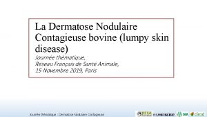 La Dermatose Nodulaire Contagieuse bovine lumpy skin disease