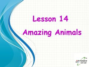 Lesson 14 Amazing Animals Why are dogs afraid