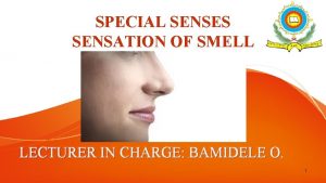 SPECIAL SENSES SENSATION OF SMELL LECTURER IN CHARGE